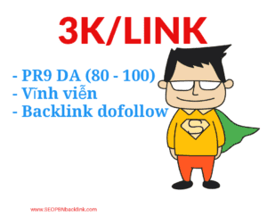 PR9 backlink DA cao